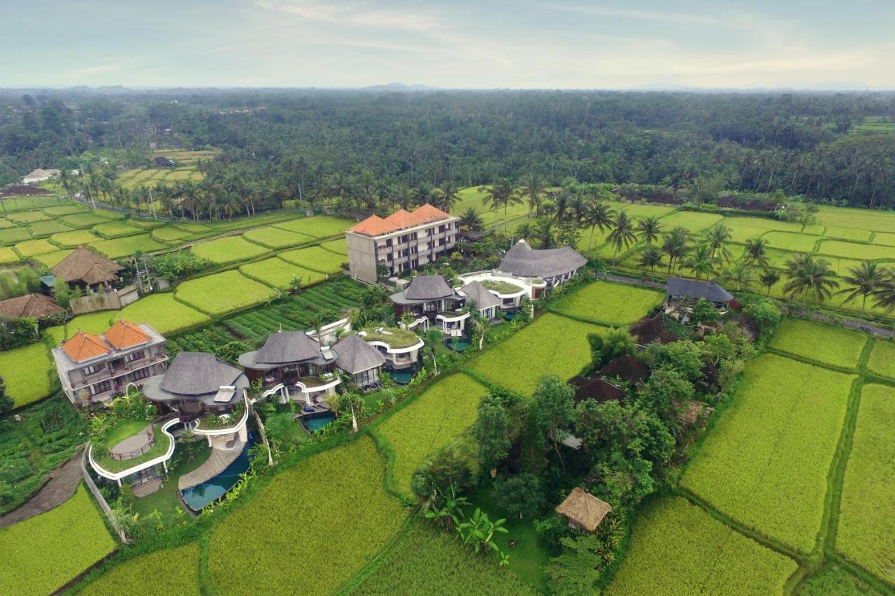 Mango Ubud Exteriér fotografie