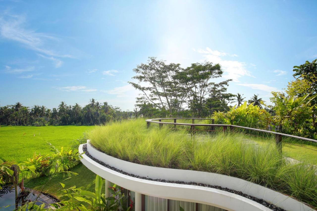 Mango Ubud Exteriér fotografie